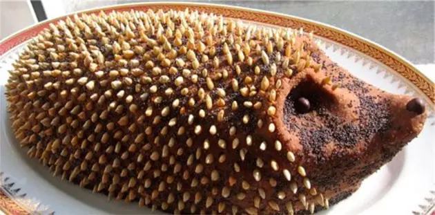 Hedgehog