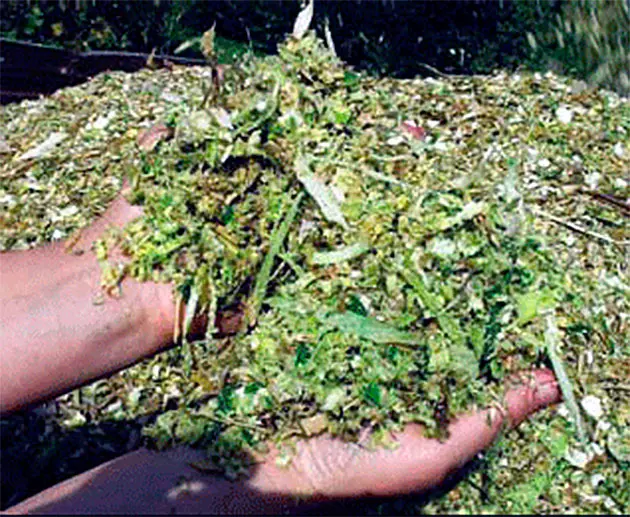 How I Made Silage in Plastic Bags and What I Learned 3 SILO