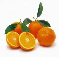 citrus