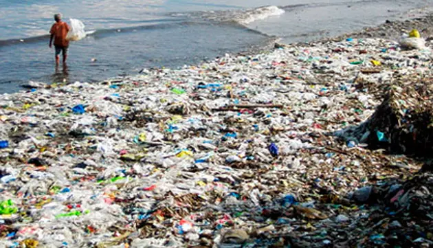 Environmental issues