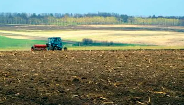 Harvest on sand