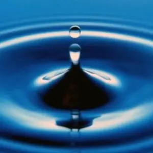 Which Water Is Best for Your Aquarium — and How to Fix Common Water Problems 3 water