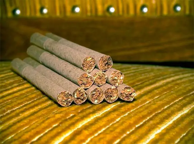 Interesting facts about tobacco