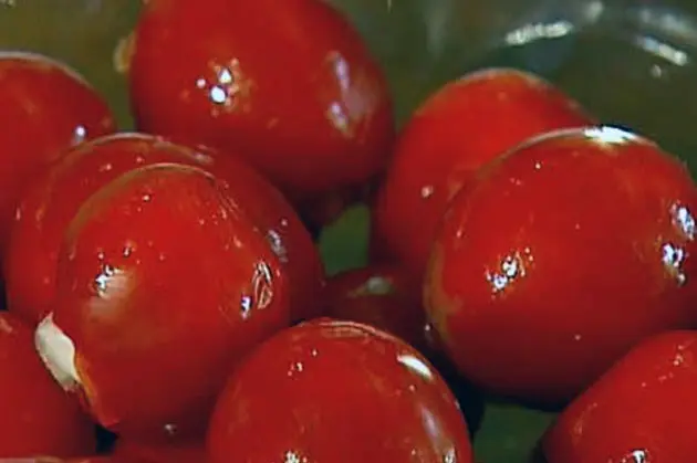 How to Salt Tomatoes for Jars and Quick Use 3 Salted tomatoes