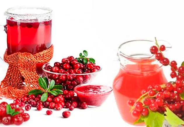 Beverages made from fruits and berries