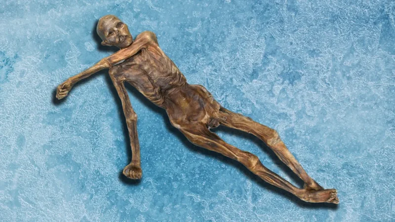 What Ötzi Really Looked Like 3 Iceman
