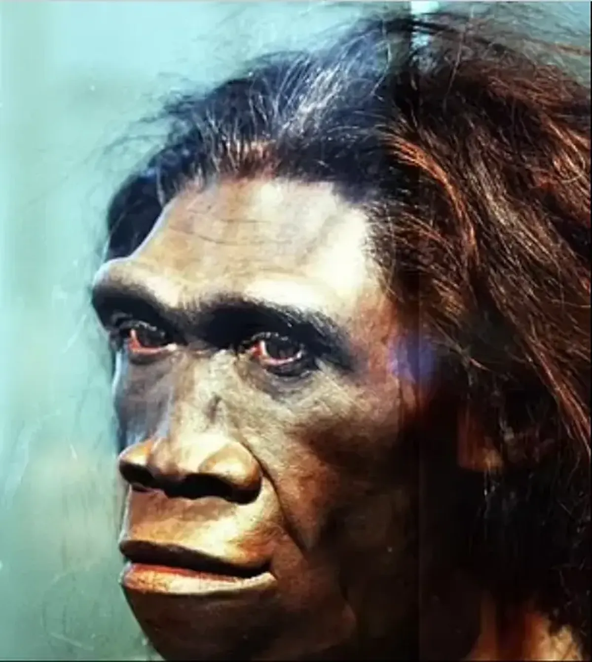 A new and controversial theory argues that the first humans did not emerge from Africa but from East Asia.