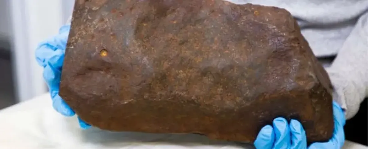 The man thought he had found a gold nugget, but it turned out to be something even more valuable.
