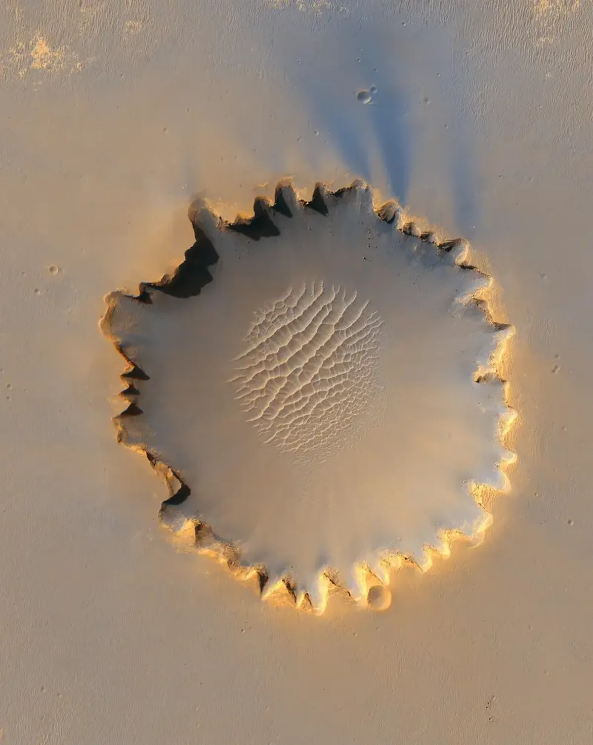The Zhurong rover has discovered the shoreline of an ancient ocean on the Red Planet.