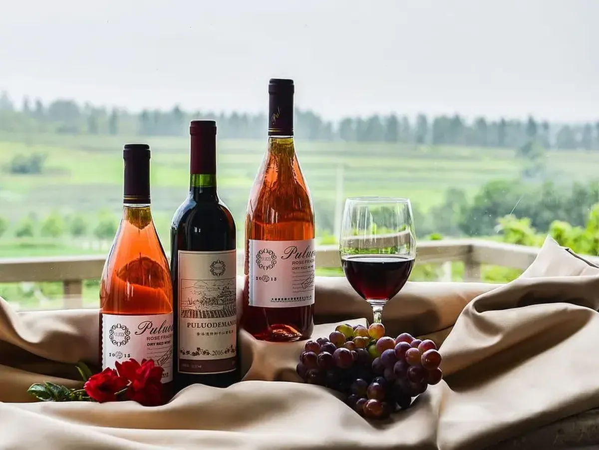 AI identifies the place and year of a wine's production with remarkable accuracy.