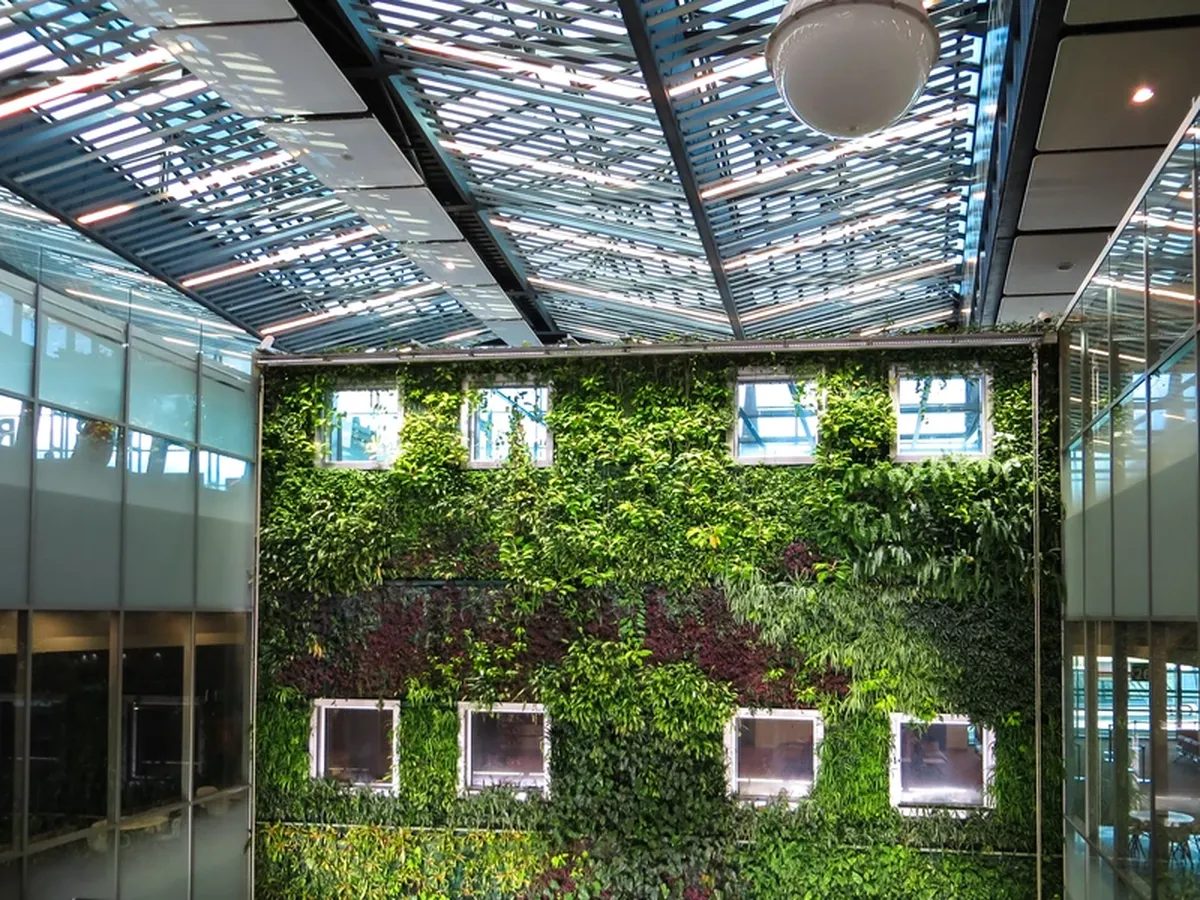 Plants that fight air pollution