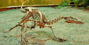 Fujianipus yingliangi