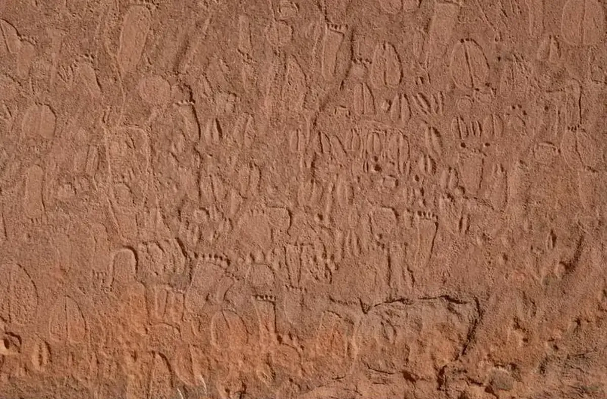 Stone-Age Zoo Map: 5,000-Year-Old Tracks Reveal Species, Ages, and Individuals 3 Zoological Painting: A Scientific Book from the Stone Age