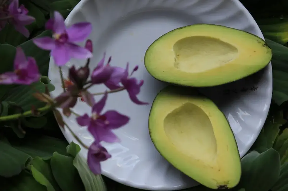 Secrets of Flavor: The Avocado Phenomenon
