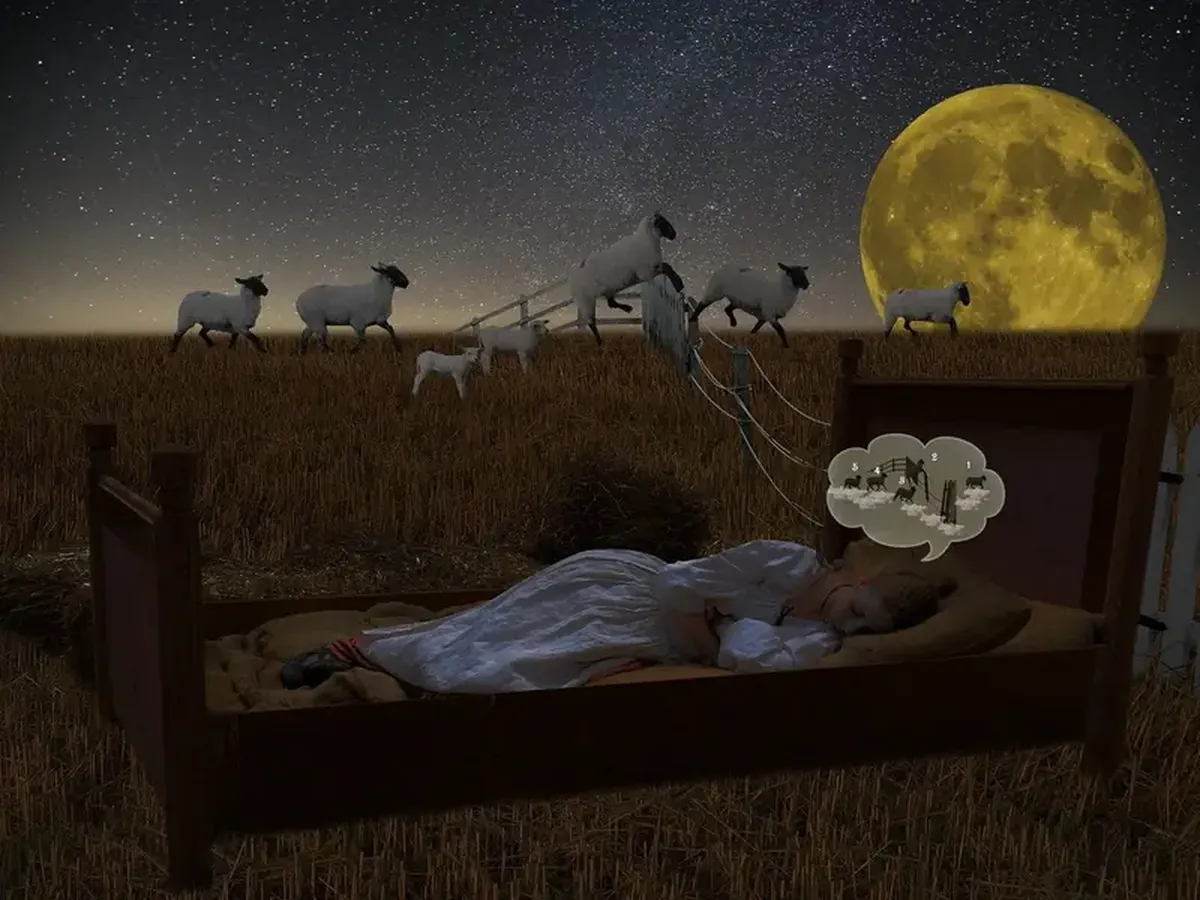 Counting sheep and cheese at night: sleep experts criticize hacks that claim to cure insomnia.