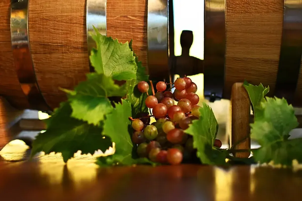 Cognac — the nectar of the gods in modern metropolises.