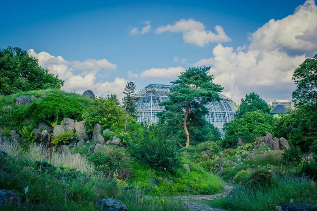 Botanical gardens are the city's best 