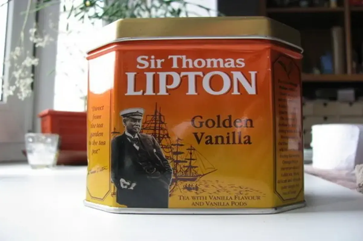 How Thomas Lipton Turned Gorbals Grit Into a Global Tea Empire 5 Thomas Lipton: A Dreamer from the Slums