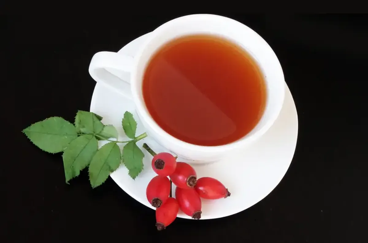 The vitamin magic of rose hips in spring: healing and enhancing beauty!