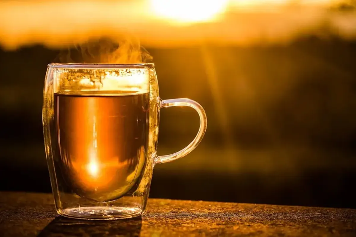 Want to Live Longer? Three Cups of Tea a Day May Slow Aging 3 Want to live longer? Drink three cups of tea every day.