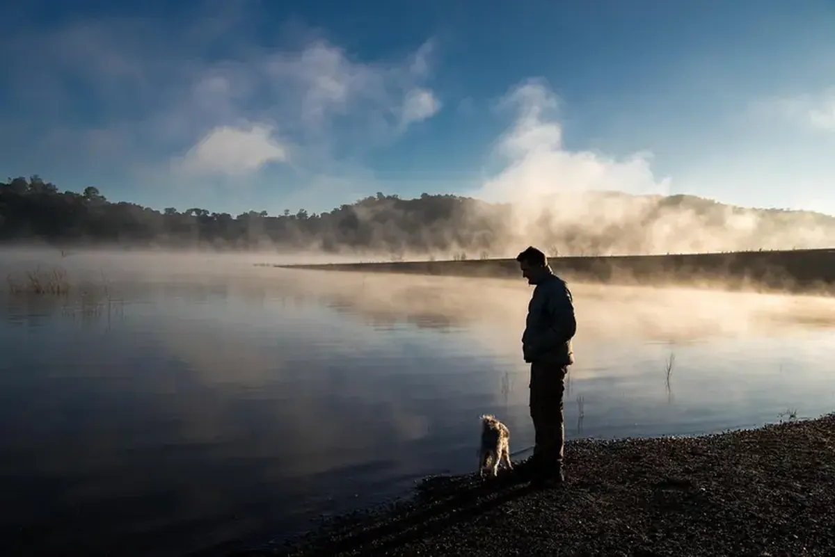 The Dark Side of Dog Ownership: How Pet Dogs Hurt Wildlife and the Environment 3 Our beloved dogs also have a dark side: an uncomfortable truth.