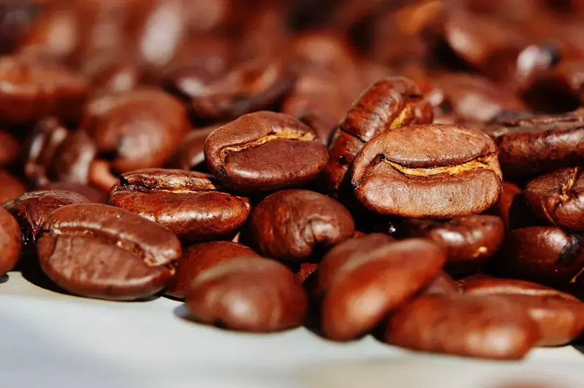 Coffee: Is It Helping You or Harming You? 5 Coffee: a healer or a tormentor?