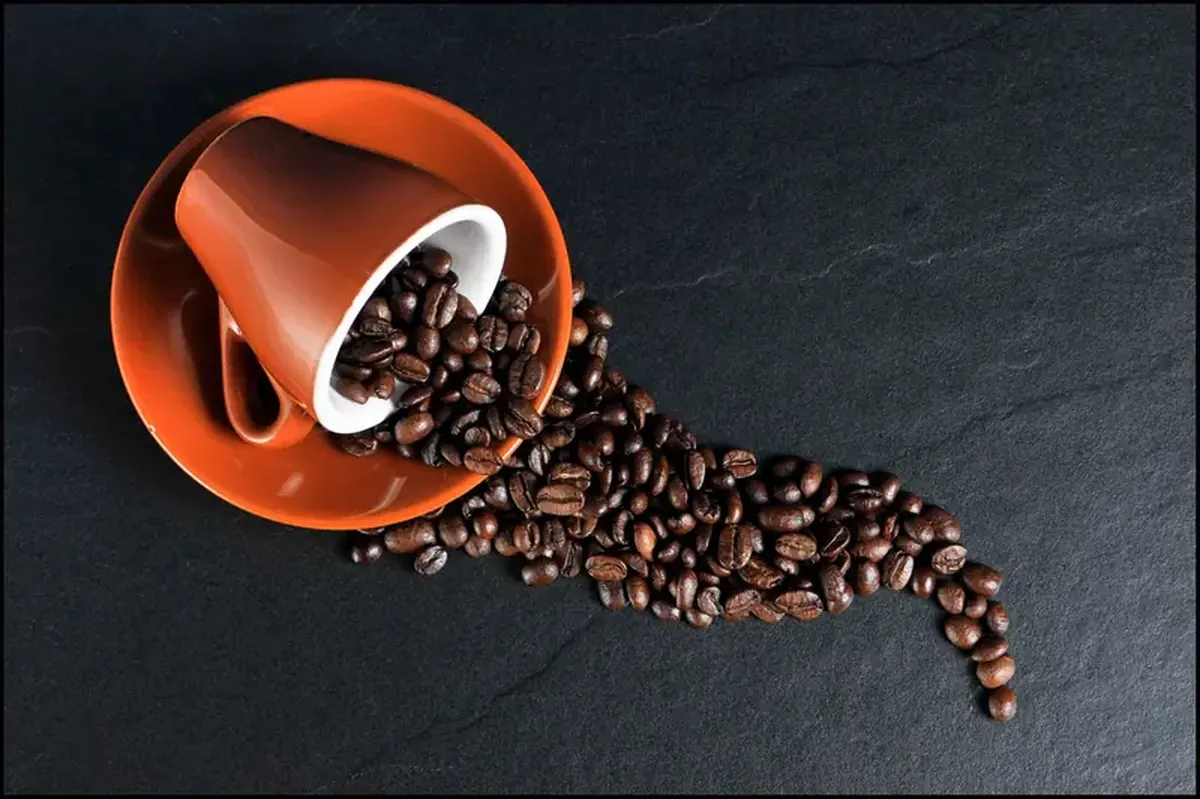 Coffee: Is It Helping You or Harming You? 4 Coffee: a healer or a tormentor?