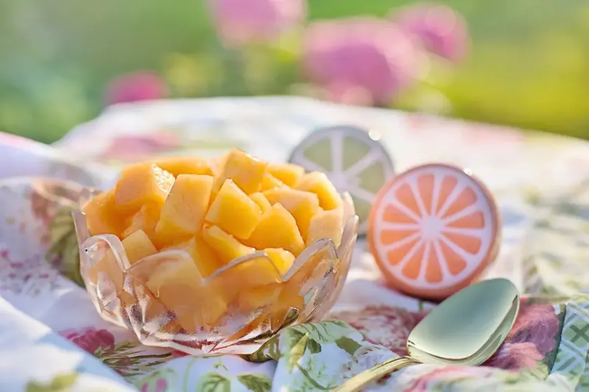 A sweet gift: the melon came to Europe from Asia.