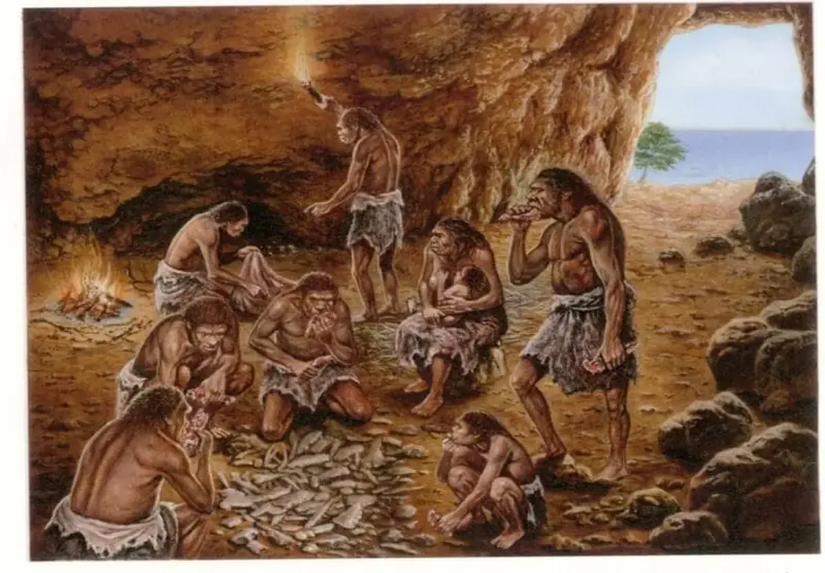 When did humans start cooking food?
