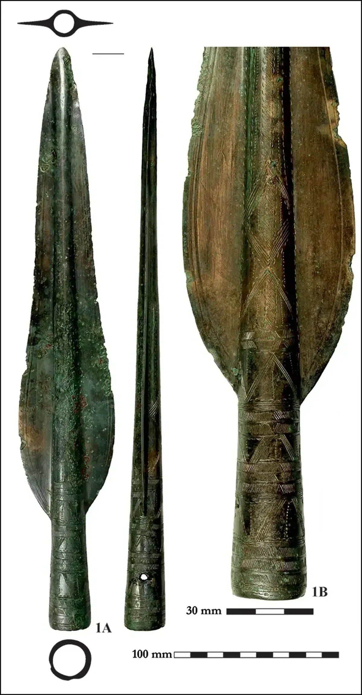 Hundreds of metal artifacts dating back 3,400 years were discovered on an extinct volcano in Hungary.