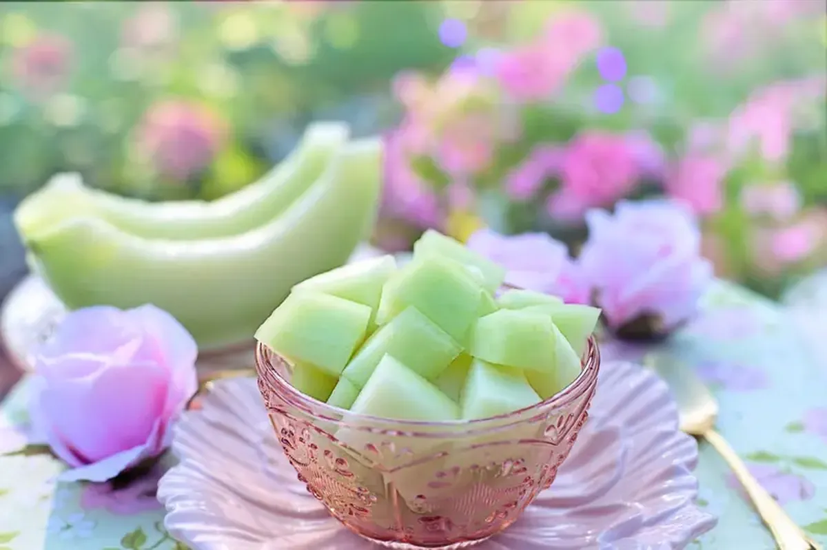 A sweet gift: the melon came to Europe from Asia.