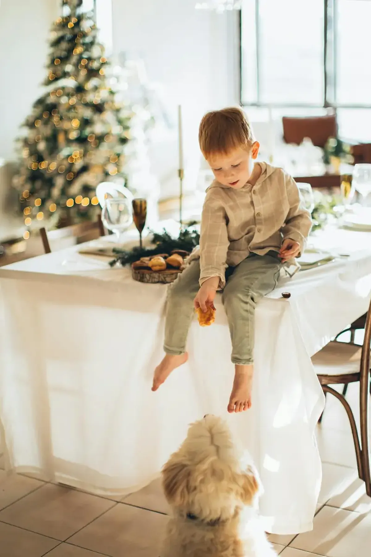 Christmas foods can turn your dog into a chubby pup.