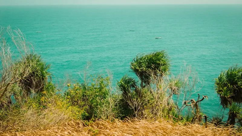 A view of the water from a hill