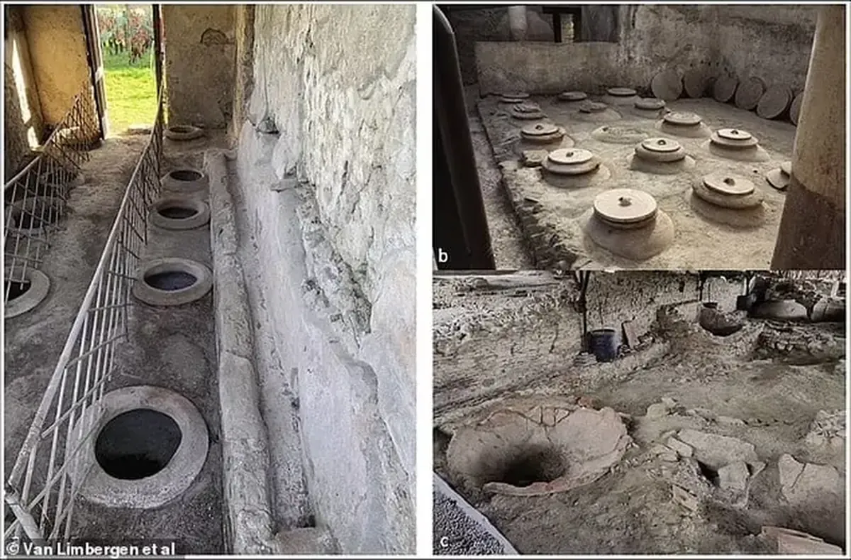 With aromas of nuts and toasted bread: what wine did the ancient Romans drink?
