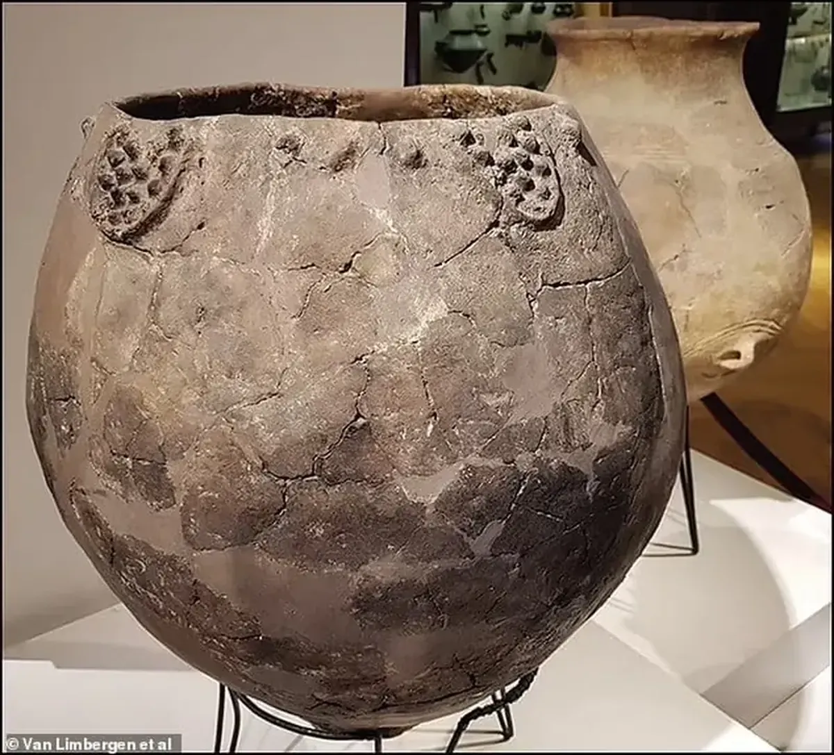 With aromas of nuts and toasted bread: what wine did the ancient Romans drink?