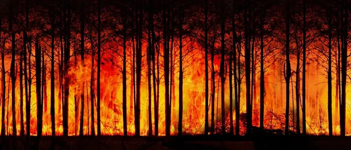 2024 Is the Hottest Year on Record — Here's Why It Matters 4 The year 2024 has become the hottest on record, and this is concerning.