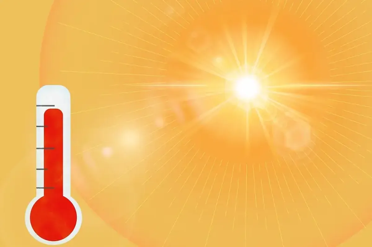 Botanical gardens are the city's best 