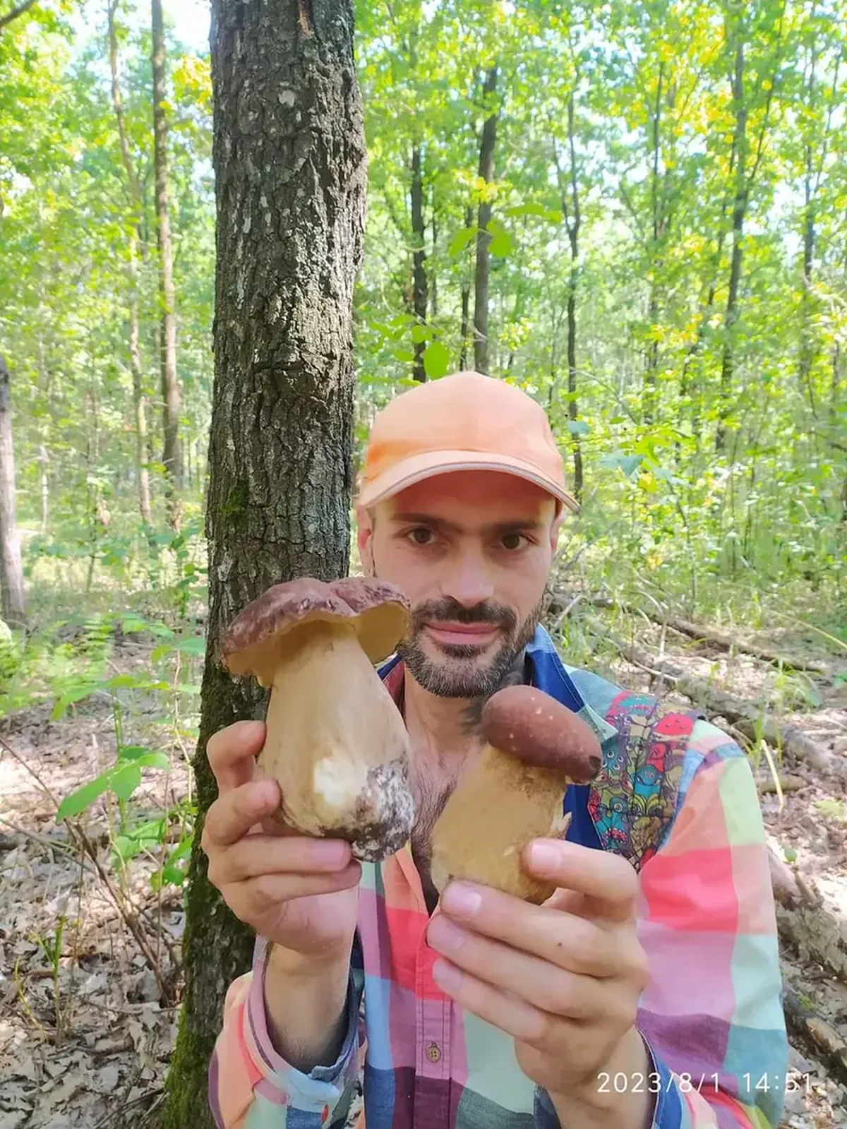 Rejuvenate in two weeks: foods that slow aging have been revealed.