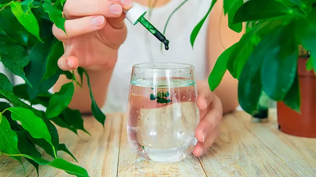 Chlorophyll: Real Health Boost or Just Marketing Hype 3 The chlorophyll trend: real benefits or just a marketing gimmick?