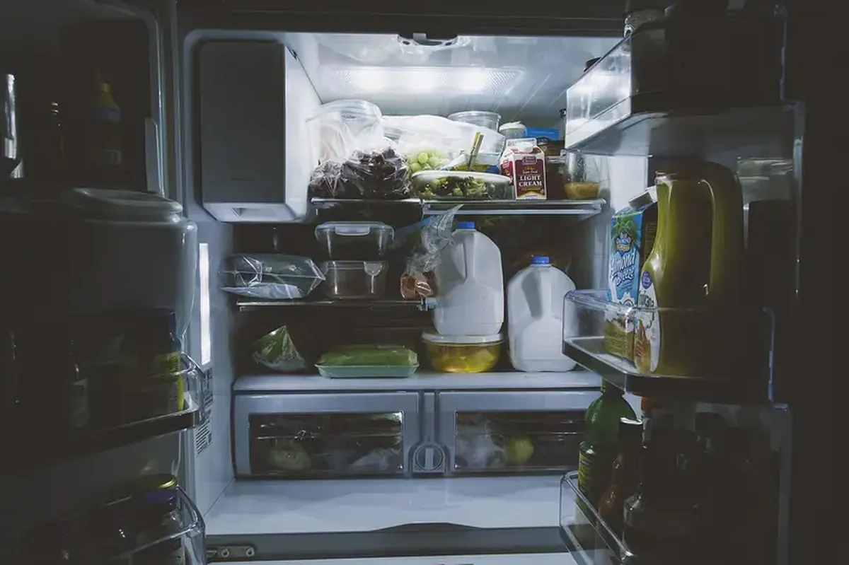 What goes in the fridge and what goes in the pantry? Let's store our food properly.