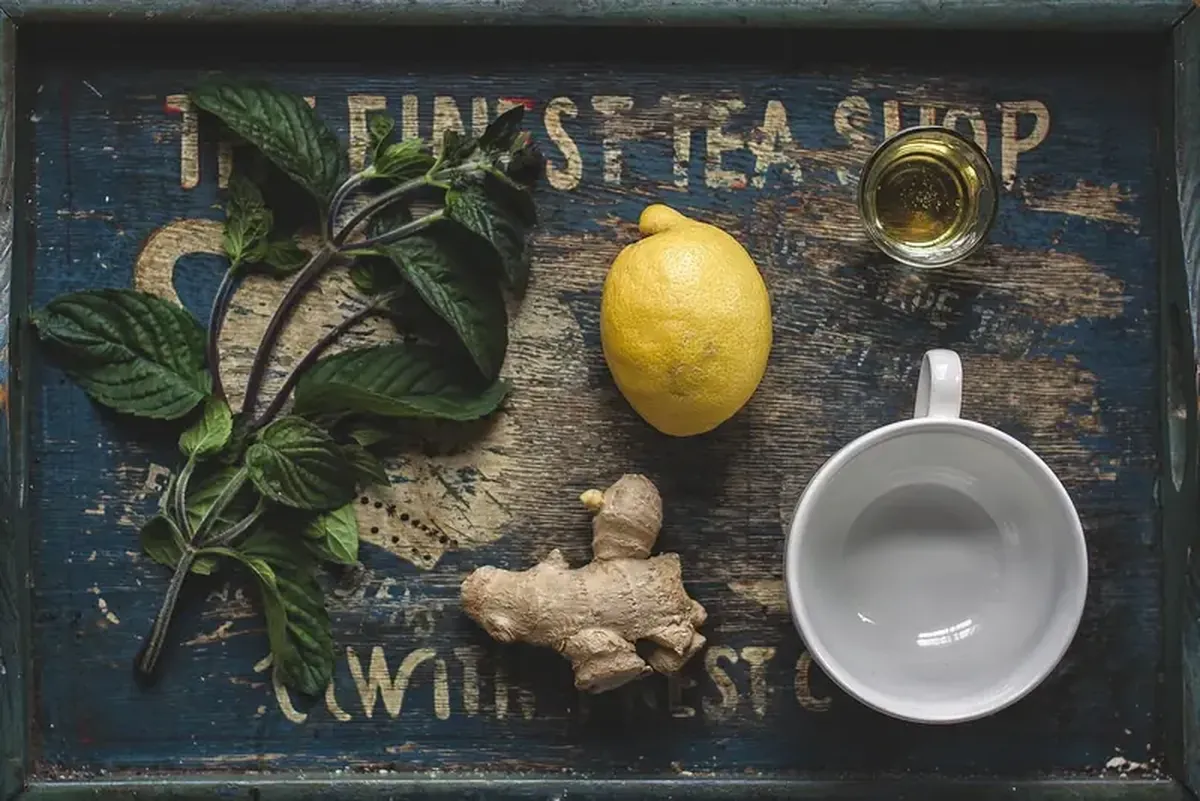 Shamanic Herbs vs. Energy Drinks: Natural Boosters That Actually Work 4 Forces are found in nature: