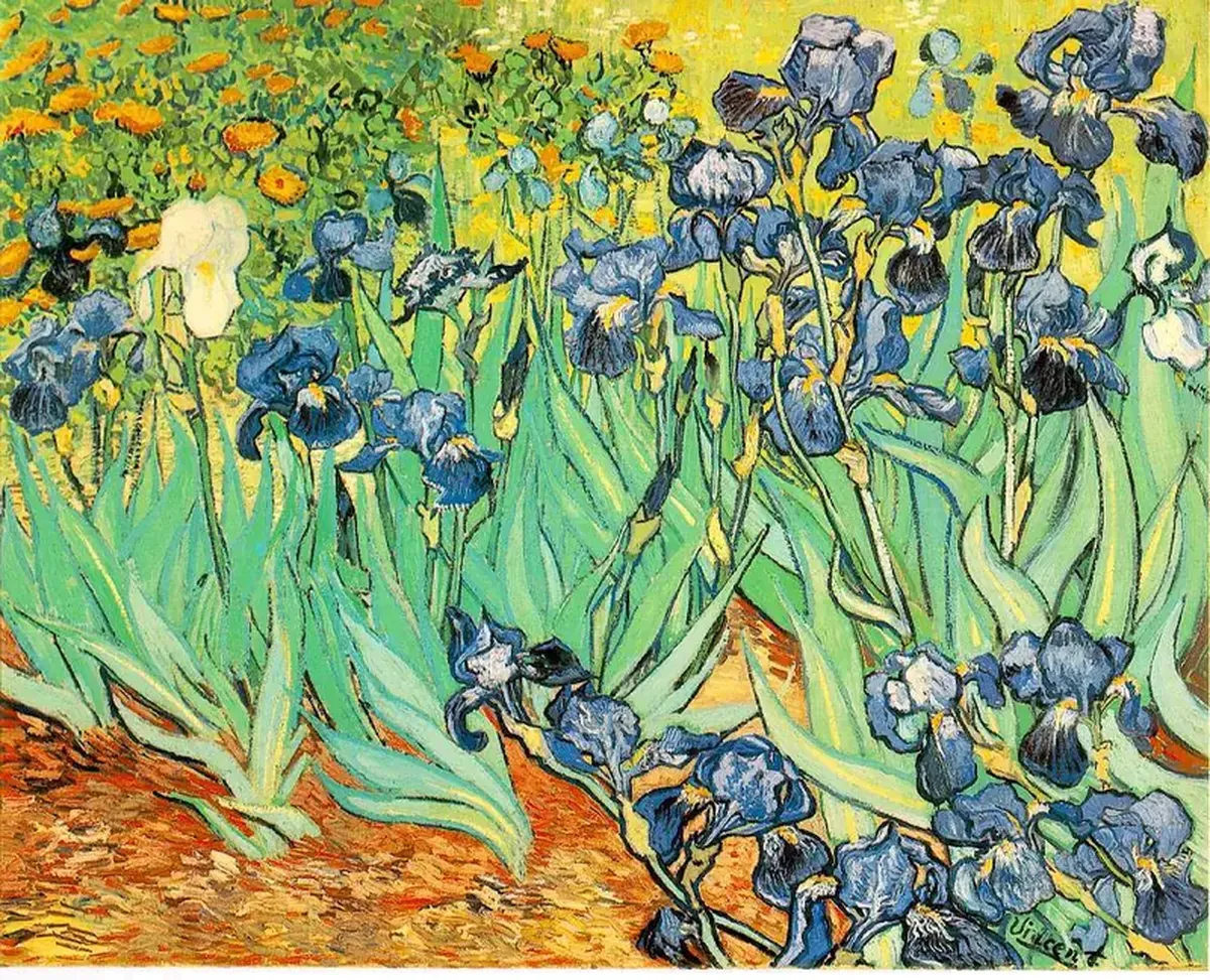 'Sorrow Will Never Pass': The Life Behind Vincent van Gogh’s Paintings 4 Vincent van Gogh