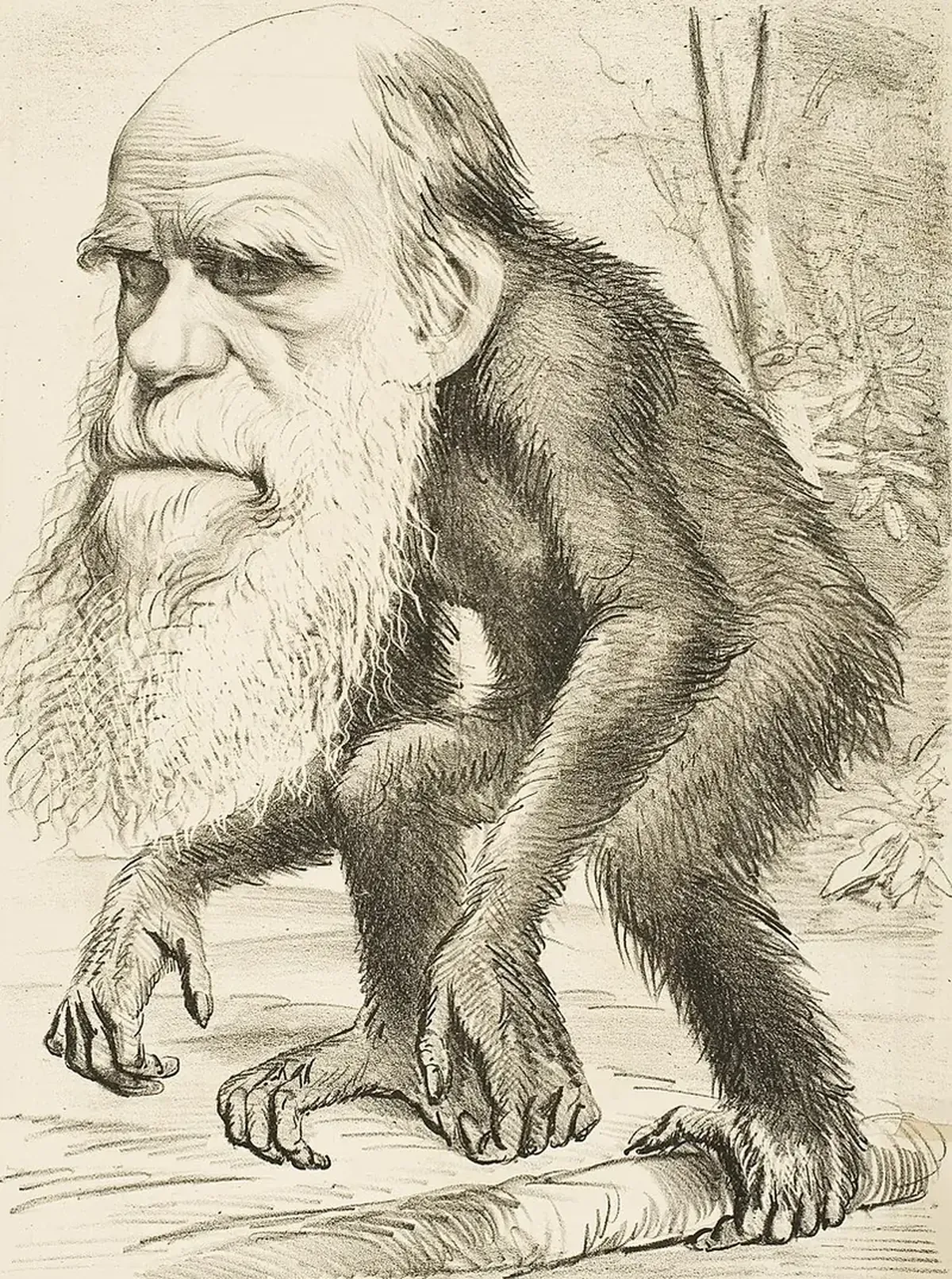 Charles Darwin: The Evolution of the Author of Evolutionary Theory