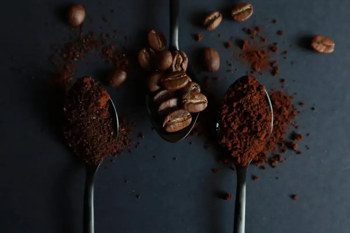 How spent coffee grounds and tea leaves boost nutrition and shelf life of baked goods 3 Coffee and tea waste make baked goods healthier, scientists confirm.