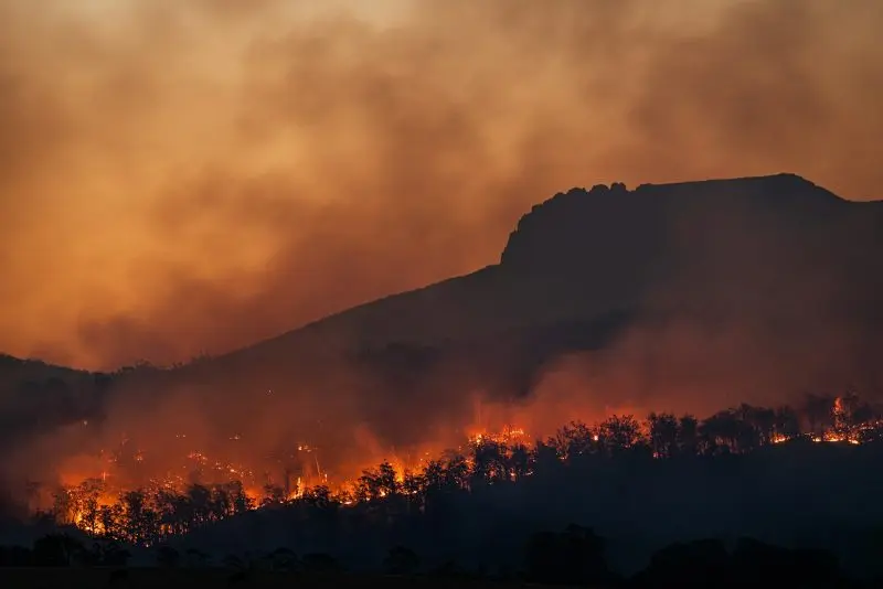 A 4°C rise could make the average person 40% poorer 3 silhouettes of trees at sunset