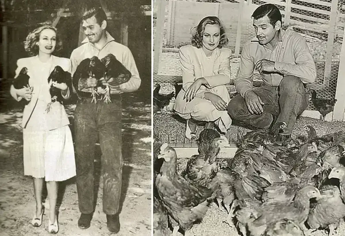 Clark Gable: How Hollywood’s King Became America’s Ultimate Leading Man 15 Clark Gable: The King of Golden Hollywood