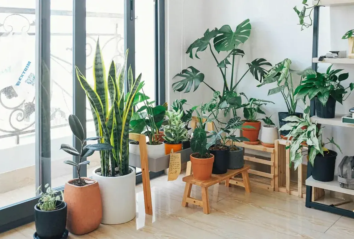 How to keep the air in your home clean during winter.