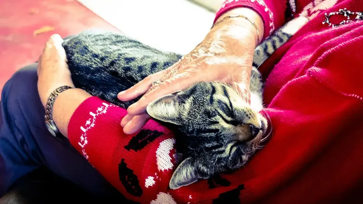Cats and dogs help protect lonely elderly owners from dementia.