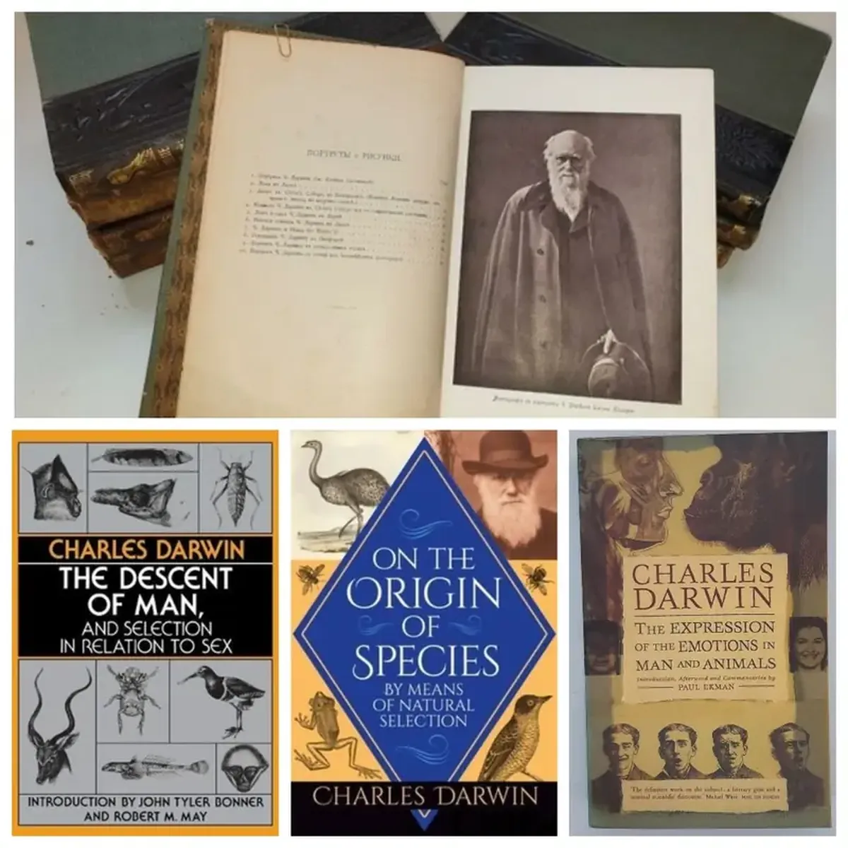 Charles Darwin: The Evolution of the Author of Evolutionary Theory