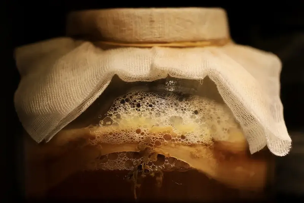 Fermented foods: benefits and drawbacks